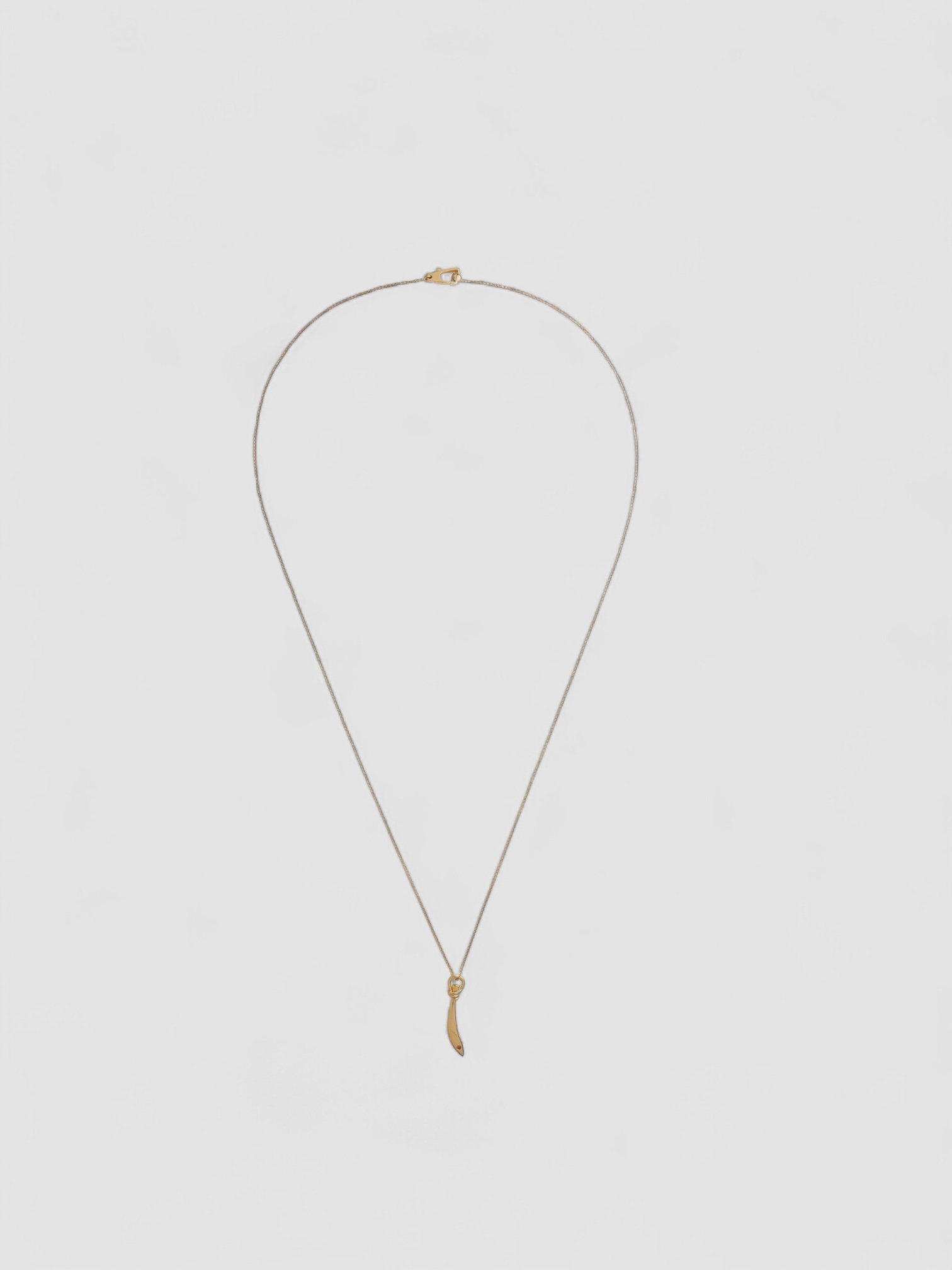Bottega Veneta Sardine Pendant Necklace in gold.