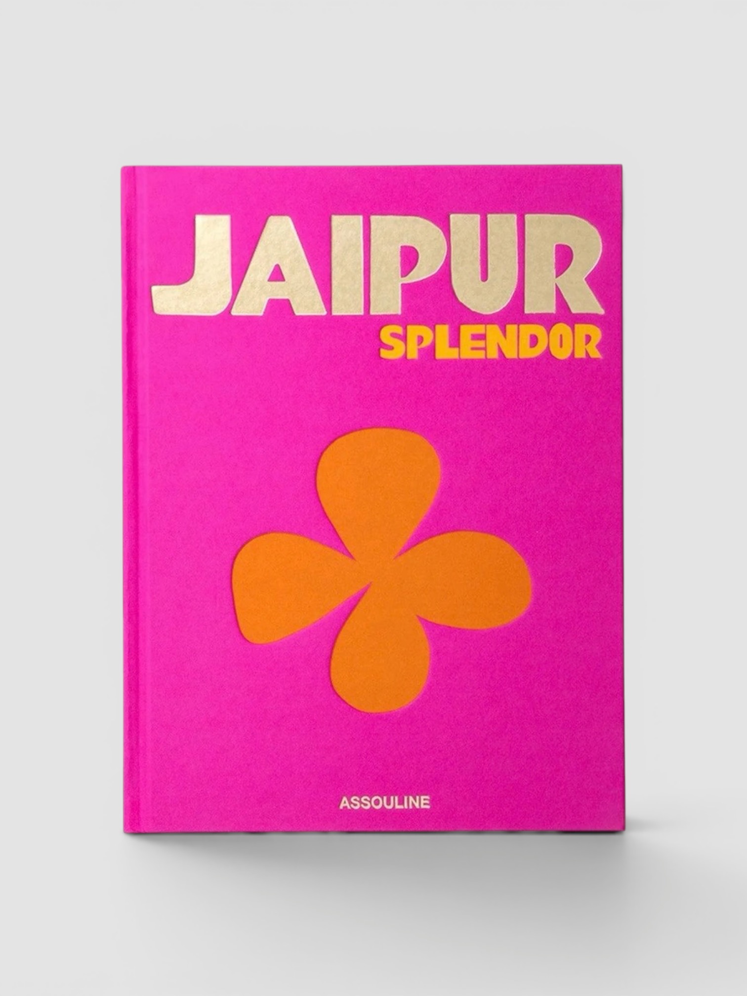 Assouline Jaipur Splendor.