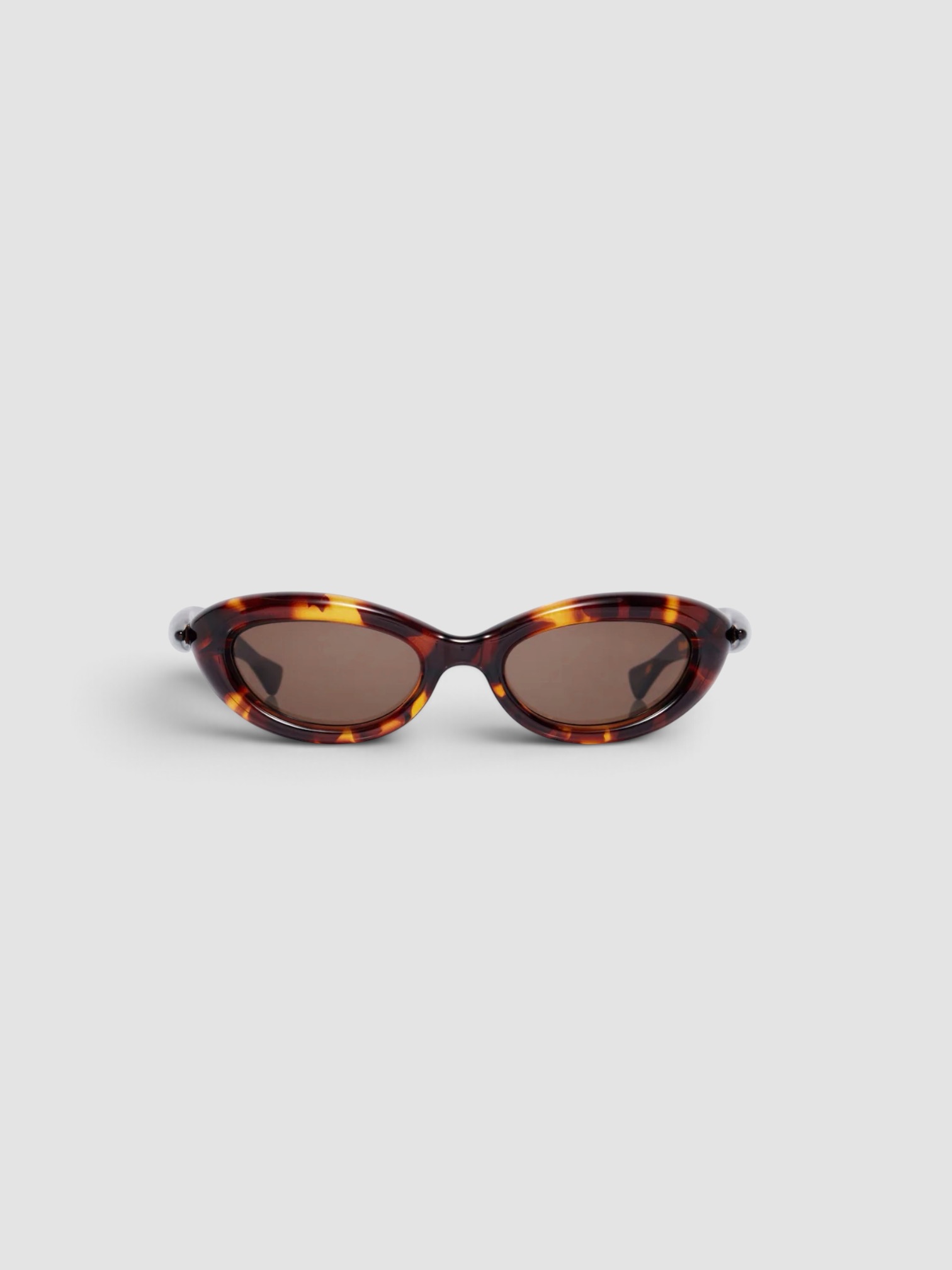 Bottega Veneta Sardine Cat-Eye Sunglasses in brown.