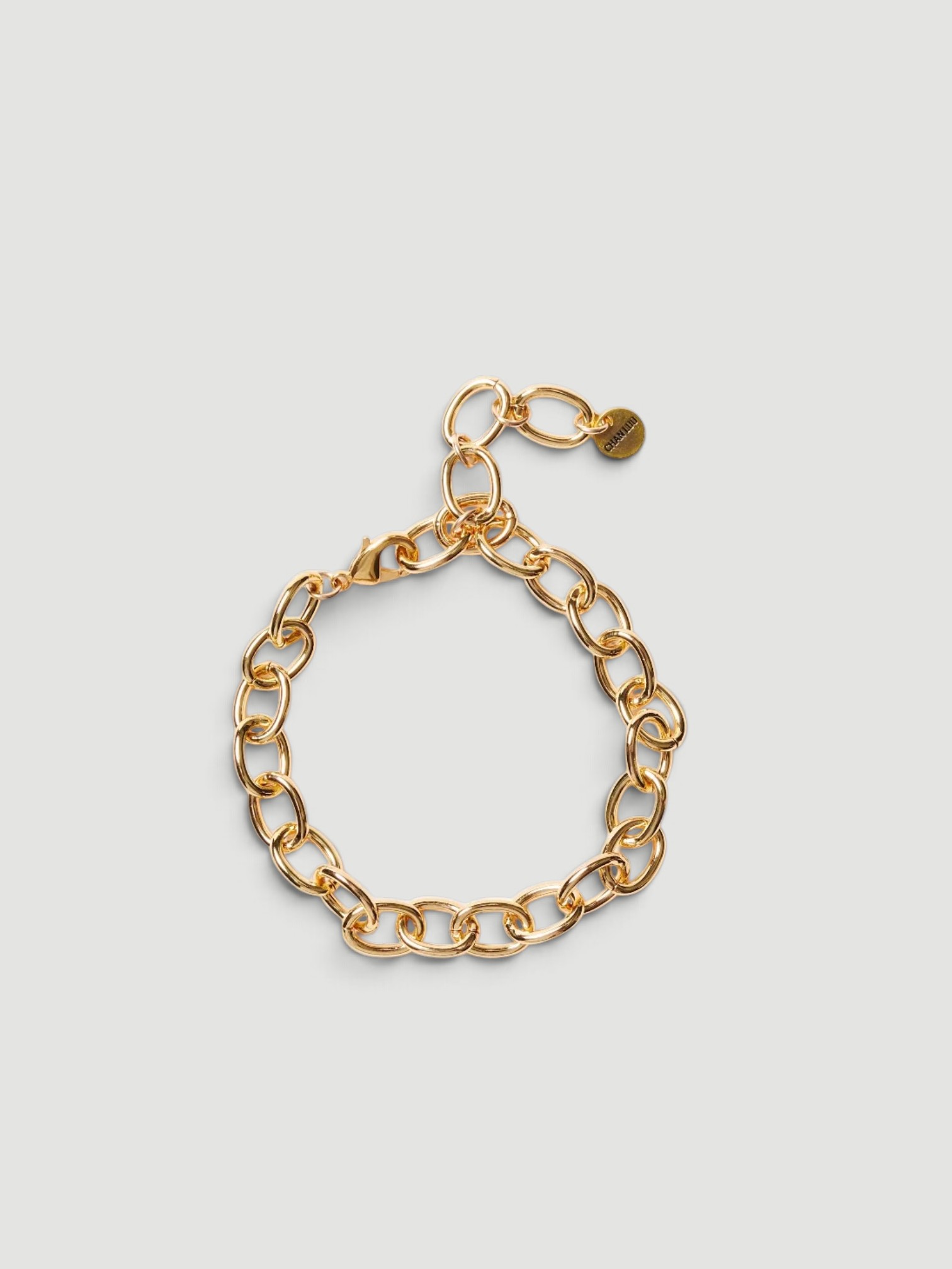 Chan Luu Large Chain Link Anklet in gold.