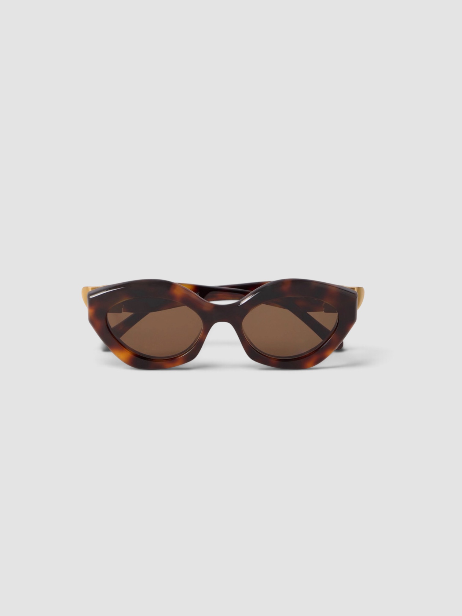 Loewe Coil Cat-Eye Acetate Sunglasses in tortoiseshell.