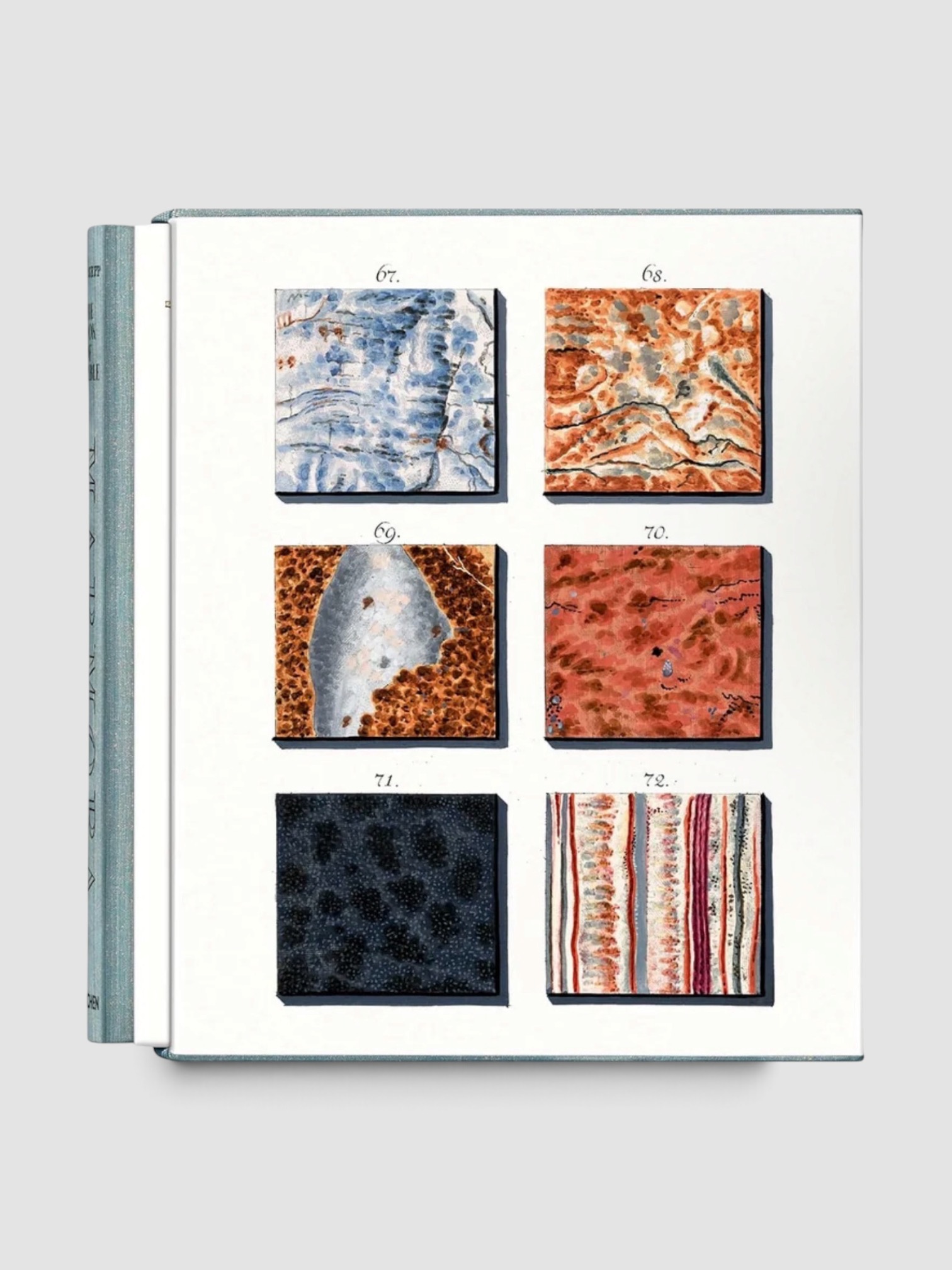 Taschen Jan Christiaan Sepp. The Book of Marble in n/a (one size / not color-differentiated).